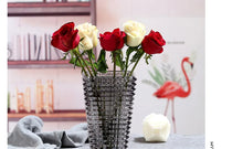 Load image into Gallery viewer, DecorBites™ Premium Crystal Glass Vase for Home Décor