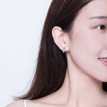 Load image into Gallery viewer, S925 Sterling Silver CZ Earrings for Women