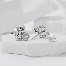 Load image into Gallery viewer, 925 Sterling Silver Brass White Gold Plated Earrings with CZ for Women