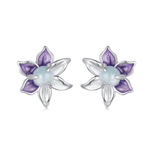Load image into Gallery viewer, 925 Sterling Silver Earrings with Enamel and Transparent Glass for Women