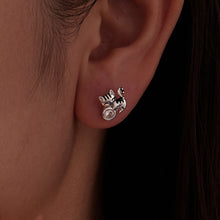 Load image into Gallery viewer, 925 Sterling Silver Brass White Gold Plated Earrings with CZ for Women