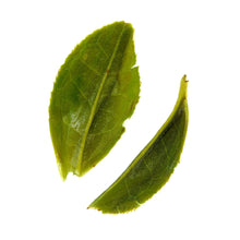 Load image into Gallery viewer, Rare Leaves Emerald - Single Estate Pi Lo Chun Green Tea