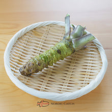 Load image into Gallery viewer, Fresh Japanese Wasabi Root + Steel Shark Grater Bundle