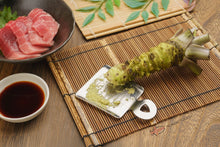 Load image into Gallery viewer, Fresh Japanese Wasabi Root + Steel Shark Grater Bundle