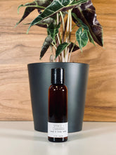 Load image into Gallery viewer, Hand & Body Wash - Woodsy - 2 Ounces