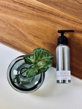 Load image into Gallery viewer, Refresh - Daily Facial Moisturizer - Aluminum