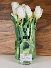 Load image into Gallery viewer, Cleaning Concentrate