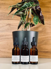 Load image into Gallery viewer, Pure Essential Oils - Woodsy