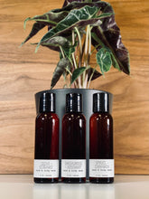 Load image into Gallery viewer, Hand & Body Wash - Woodsy - 2 Ounces