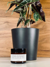 Load image into Gallery viewer, Daily Moisturizing Lotion - Woodsy