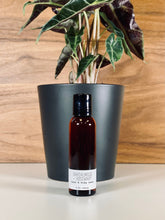 Load image into Gallery viewer, Hand & Body Wash - Woodsy - 2 Ounces