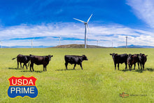 Load image into Gallery viewer, Pasture Raised Angus USDA Prime Steak Lovers - Bundle