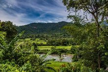Load image into Gallery viewer, Sumatra Gayo