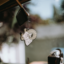 Load image into Gallery viewer, Rocky Mountain National Park Air Freshener