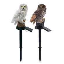 Load image into Gallery viewer, DecorBites™ Solar Owl Garden Light - Decorative, Waterproof LED
