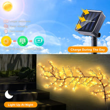 Load image into Gallery viewer, DecorBites™ Solar Willow Vine Light: Outdoor Decoration, Waterproof Fairy Light