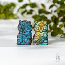 Load image into Gallery viewer, Token of Wisdom - Labradorite Owl Talisman