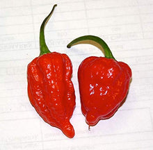 Load image into Gallery viewer, Ghost Pepper Sea Salt (Naga Jolokia)
