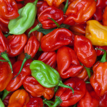 Load image into Gallery viewer, Ghost Pepper Sea Salt (Naga Jolokia)
