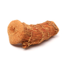 Load image into Gallery viewer, Galangal (Whole)
