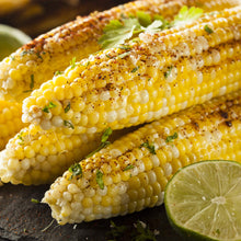 Load image into Gallery viewer, Mexican Street Corn Seasoning
