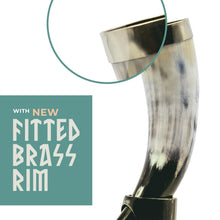 Load image into Gallery viewer, Curved Drinking Horn Bundle with Stand &amp; Holster
