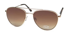 Load image into Gallery viewer, Oscar de la Renta Oscar 3110 Sunglasses
