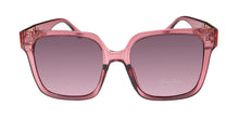 Load image into Gallery viewer, Sean John Sjs2010 Sunglasses
