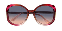 Load image into Gallery viewer, Sean John Sjs2032 Sunglasses
