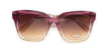 Load image into Gallery viewer, Bebe Bbop1006 Sunglasses
