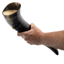 Load image into Gallery viewer, Curved Drinking Horn with Wooden Stand
