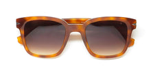 Load image into Gallery viewer, John Varvatos Sjv564 Sunglasses
