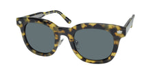 Load image into Gallery viewer, Diff 0558 Hufflepuff Harry Potter Sunglasses
