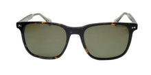 Load image into Gallery viewer, John Varvatos Sjv557 Sunglasses
