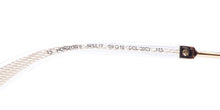 Load image into Gallery viewer, Police Spll17 Horizon 5 Sunglasses
