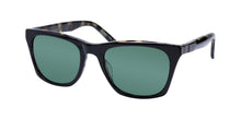 Load image into Gallery viewer, John Varvatos V515 Sunglasses
