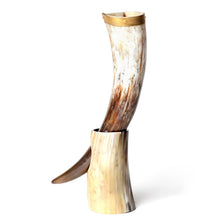 Load image into Gallery viewer, Curved Drinking Horn Bundle with Stand &amp; Holster
