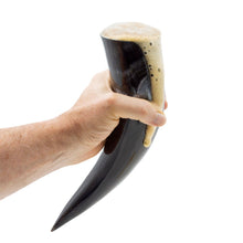 Load image into Gallery viewer, Curved Drinking Horn with Wooden Stand
