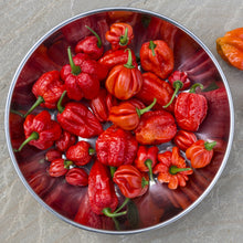 Load image into Gallery viewer, Scorpion Chile Powder
