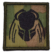 Load image into Gallery viewer, Predator Head - 2x2 Patch
