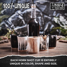 Load image into Gallery viewer, Horn Shot Cups (5-Pack)
