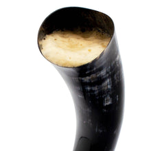 Load image into Gallery viewer, Curved Drinking Horn with Wooden Stand
