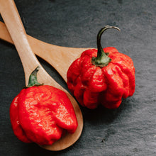 Load image into Gallery viewer, Ghost Pepper Salt (Naga Jolokia) – XXX Extra Hot
