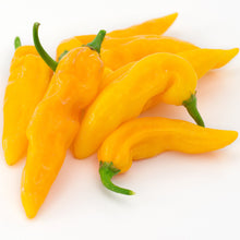 Load image into Gallery viewer, Aji Amarillo Chili Powder
