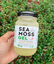 Load image into Gallery viewer, Flavored Sea Moss Gel - Dr. Sebi Inspired 100% Raw Organic - Wild Harvested Sea Moss
