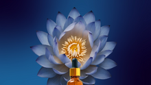 Load image into Gallery viewer, Lucid ✦ Blue Lotus Tincture
