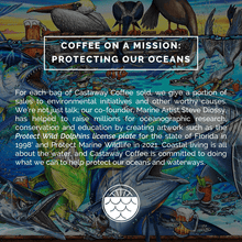 Load image into Gallery viewer, Castaway Coffee Dark Roast K-Cup Pod 12 Count
