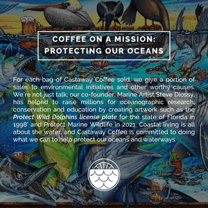 Castaway Coffee Dark Roast K-Cup Pod 12 Count