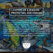 Load image into Gallery viewer, Castaway Coffee  Bourbon K-Cup Pod 12 Count
