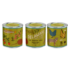 Load image into Gallery viewer, Delaware State Candle
